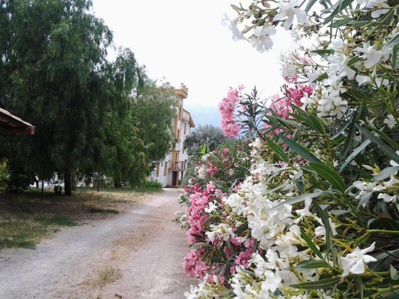 Rocca Di Monreale Bed & Breakfast Dış mekan fotoğraf